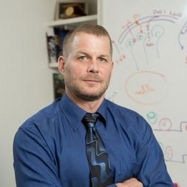 Gary D. Hammer, M.D., Ph.D. garyhammer